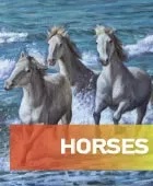 Horses